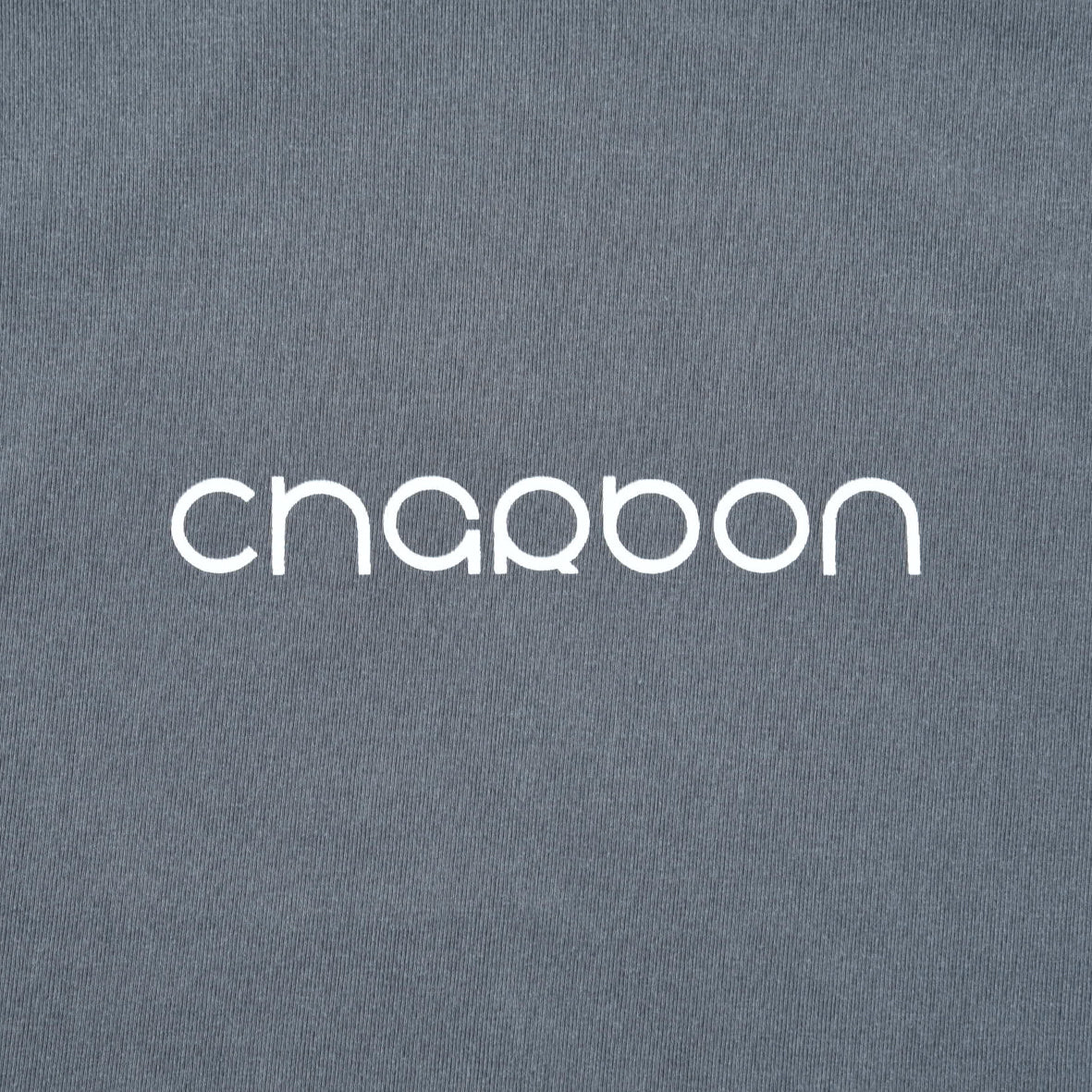 PIGMENT DYE PRINT T-SHIRT